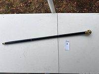 Full-length image of the black cane with metal skull handle on a white table.