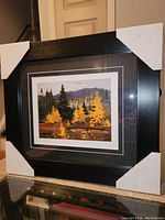 Front view of the professionally framed fine art print with protective corner covers on frame edges.
