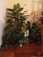 Group photo showing floor plant, hanging plants, small table plants and flower arrangement in a corner