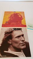Photo showing front covers of two vinyl records; one Carlos Santana with red/yellow cover and signs of wear, and the Steve Winwood Chronicles with black and white cover.