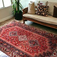 Full-room view showing rug laid out in front of a settee and potted plant.