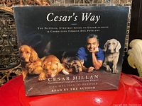 Front image of 'Cesar's Way' CD box set featuring Cesar Millan with four dogs on cover, brand and title visible.