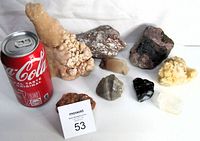 Nine large geology specimens displayed with a Coke can for scale, including various mineral rocks and fossils.