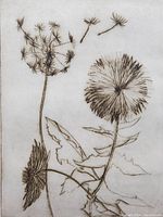 Close-up of detailed dandelion illustration showing delicate seed heads and leaves.