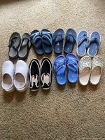 Overhead photo showing 9 pairs of women's casual shoes laid out on carpet in 2 rows.