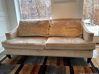 Front view of light beige chenille velvet-like sofa on area rug
