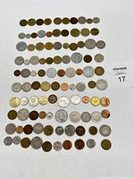 Top view showing all 100 coins arranged in rows with a variety of sizes and metals visible.