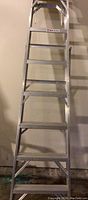 Full view of the aluminum step ladder extending upward showing the steps and top tray.