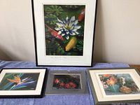 Four framed floral prints on a blue cloth surface. Largest is a koi pond scene with koi fish and water lily, medium Bird of Paradise print, small red flower print, and another floral bouquet print.