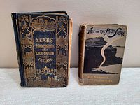 Two antique hardcover books displayed side by side; left is a large blue and gold ornate 1855 Sears book with significant spine damage, right is a smaller tan and black 1903 Irish sketches book with worn cover