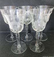 Front view showing all 5 etched cornflower goblets with smooth stems and clear glass bowls.