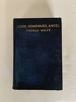 Front cover of the book showing title and author in gold lettering on blue cloth.