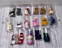 Overview of 16 Beanie Babies plush toys in individual clear display cases arranged on light wood surface.