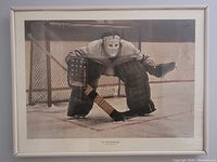 Framed print showing hockey goalie crouched on ice in front of goal net.