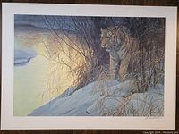 Full view of print showing tiger by snowy riverbank at sunset on white matte paper