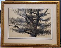 Framed lithograph artwork titled "Big Pine" showing a close-up of a pine tree with detailed bark and branches, in an ornate golden frame.