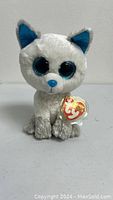 Front view of 'Frost' the Arctic Fox plush showing white fur, blue glitter eyes and Ty heart tag attached to the paw.