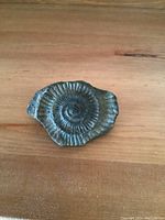 Close-up photo of a small spiral ammonite fossil embedded in stone, showing spiral ridges and natural stone edges.