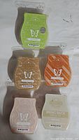 Five Scentsy wax bars in sealed plastic packaging with front labels showing scent names and Scentsy butterfly logo. Colors include green, light and dark brown, orange, pink, and cream.