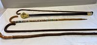Overview of five walking sticks laid horizontally showing varied styles and lengths