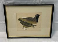 Overall front view of framed print showing two birds and frame condition