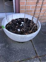 Front angled view of the concave concrete planter with soil and dried plants inside, placed on concrete pavement near brick wall.