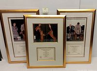 Full set of three framed AKC Champion certificates with photos, gold-tone frames with light mats.