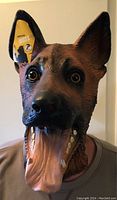 Front view of the realistic German Shepherd latex mask on a mannequin, showing detailed facial features and open mouth with extended tongue.