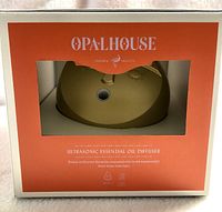 Front of box showing the matte gold round ultrasonic essential oil diffuser in the packaging with orange background and product details.