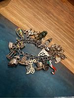 Top down view of the entire bracelet showing multiple charms attached, the chain link style, and color details on enamel charm.