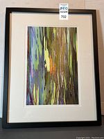 Full view of framed photograph showing multicolored eucalyptus bark print in black frame.