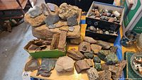 Overview of assorted fossils, detailed rocks and polished stones arranged on table including a box of polished stones.