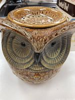Front view of ceramic spotted owl wickless candle warmer showing detailed texture and design of the owl face and body.