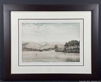 Framed John McNulty "CORMORANT" aquatint etching showing the full artwork and vintage wooden frame with white matting.