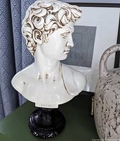 Close-up of the white David bust sculpture showing detailed facial features, curly hair, and label 'David' on base. Visible minor scrapes and discoloration on bust.