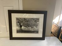 Framed picture with dark frame hung on a door, showing a black and white scene of a large tree and wooden fence.