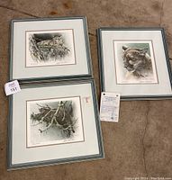 Three framed Robert Bateman cougar prints laid on floor