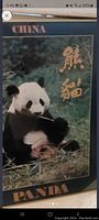 Framed photographic poster of panda with text 'CHINA PANDA' in gold and orange colors