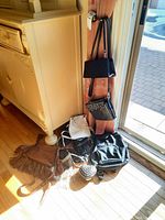 Overview of all assorted purses including crossbody bags, handbags, and backpack style bags arranged near door and cabinet.