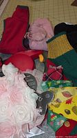 Collection of pet clothing and accessories including scarves, sweaters, dog diapers, leash, and a flower-patterned dress