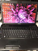 Front view of Toshiba Satellite C6500 laptop showing screen with flower wallpaper open and keyboard visible.