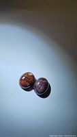 Pair of polished oval natural pietersite gemstones, espresso brown color with swirling color patterns, placed on light background under focused light.