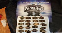 Photo of full set of 20 WWF WrestleMania XX anniversary pins displayed on white backing with official collection artwork.