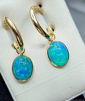 Front view of pair of gold hoops with oval blue opal dangles on white display