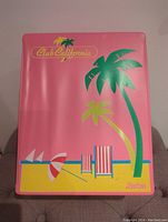 Front view of the Barbie Club California pink fashion doll case featuring palm tree and beach chair graphics.