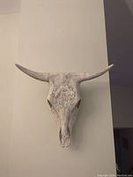 Front view of the resin clay cast cattle skull wall hanging mounted on a wall, displaying the full shape and texture.