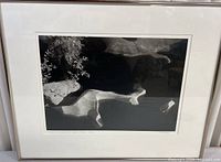 Photo showing framed black and white photo print of nature rock formations with foliage, signature visible in bottom margin.