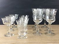 Front view of all 13 pieces grouped together: 6 wine glasses, 4 juice/cocktail glasses, 3 coupes, showing uniform etched design and general shape.