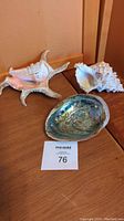 Photo showing all three seashells on a wooden surface: starfish-shaped shell, spiked conch shell, and abalone shell with certificate card numbered 76