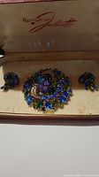Photo showing the full jewelry set including the pin and two clip-on earrings in original Juliette box.